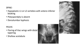 SPINE-
• Hypoplastic L1 or L2 vertebra with antero-inferior
beaking
• Platyspondyly is absent
• Dorsolumbar kyphosis
PELVIS
• Flaring of iliac wings with distal
tapering
• Shallow acetabula
 