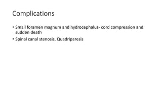 Complications
• Small foramen magnum and hydrocephalus- cord compression and
sudden death
• Spinal canal stenosis, Quadriparesis
 