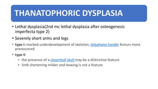 THANATOPHORIC DYSPLASIA
• Lethal dysplasia(2nd mc lethal dysplasia after osteogenesis
imperfecta type 2)
• Severely short arms and legs
• type I: marked underdevelopment of skeleton, telephone handle femurs more
pronounced
• type II
• the presence of a cloverleaf skull may be a distinctive feature
• limb shortening milder and bowing is not a feature
 