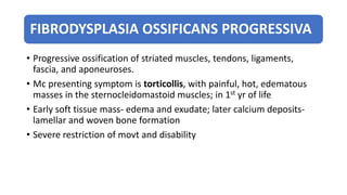FIBRODYSPLASIA OSSIFICANS PROGRESSIVA
• Progressive ossification of striated muscles, tendons, ligaments,
fascia, and aponeuroses.
• Mc presenting symptom is torticollis, with painful, hot, edematous
masses in the sternocleidomastoid muscles; in 1st yr of life
• Early soft tissue mass- edema and exudate; later calcium deposits-
lamellar and woven bone formation
• Severe restriction of movt and disability
 