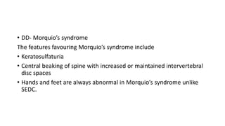 • DD- Morquio’s syndrome
The features favouring Morquio’s syndrome include
• Keratosulfaturia
• Central beaking of spine with increased or maintained intervertebral
disc spaces
• Hands and feet are always abnormal in Morquio’s syndrome unlike
SEDC.
 