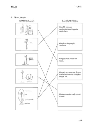 SULIT                                          7301/1




8. Skema jawapan;
         GAMBAR RAJAH       LANGKAH KERJA


                        Memilih sion dan
                        membentuk runcing pada
                        pangkalnya.




                        Mengikat dengan pita
                        cantuman.




                        Menyediakan alatan dan
                        bahan.




                        Menyerkup cantuman dengan
                        plastik lutsinar dan mengikat
                        dengan tali.




                        Mencantum sion pada pokok
                        penanti.




                                                 5/13
 