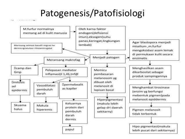 Skenario 20.5 Dermatofitosis & Non-dermatofitosis