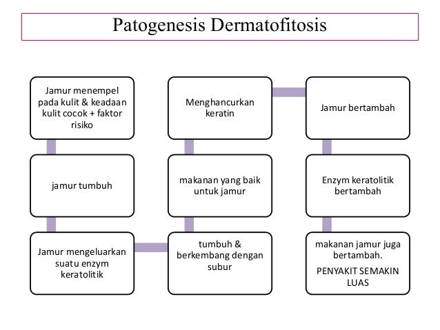 Skenario 20.5 Dermatofitosis & Non-dermatofitosis