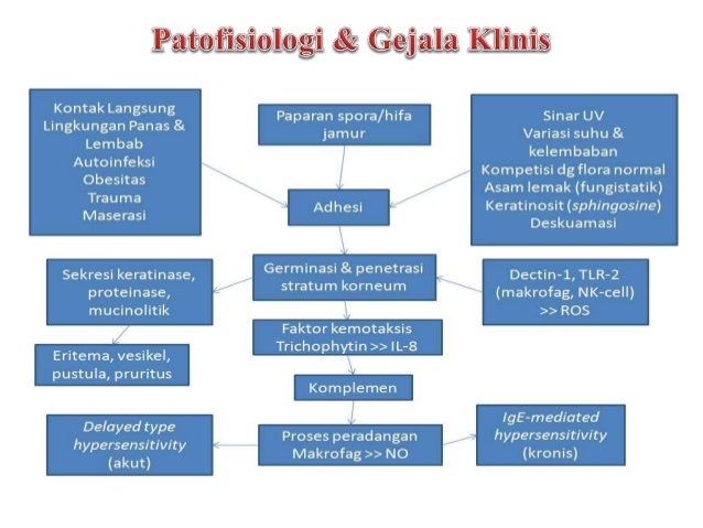 Skenario 20.5 Dermatofitosis & Non-dermatofitosis