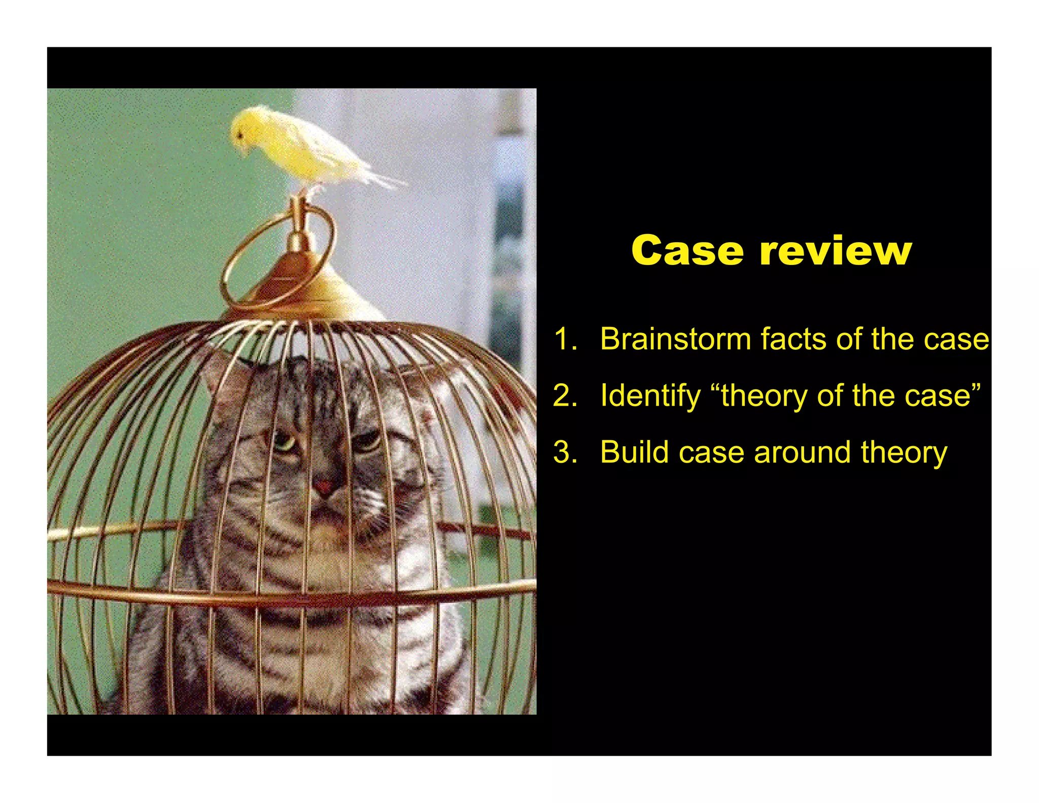 Case review

1. Brainstorm facts of the case
2. Identify “theory of the case”
3. Build case around theory
 