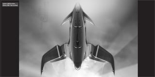 Caudron C.848 first airborn
February 2038 - Silver raw finish
 