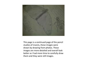 This page is a continued page of the pencil
studies of insects, these images were
drawn by drawing from photos. These
images are more detailed and overall look
better as I had more time to carefully draw
them and they were still images.
 