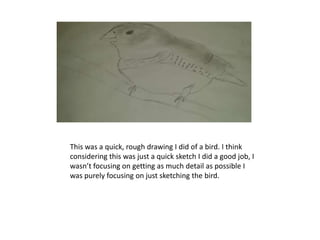 This was a quick, rough drawing I did of a bird. I think
considering this was just a quick sketch I did a good job, I
wasn’t focusing on getting as much detail as possible I
was purely focusing on just sketching the bird.
 
