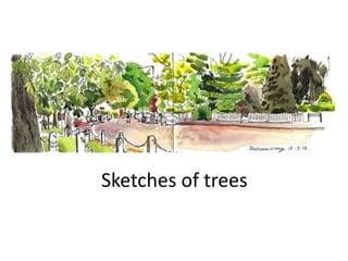 Sketches of trees
 