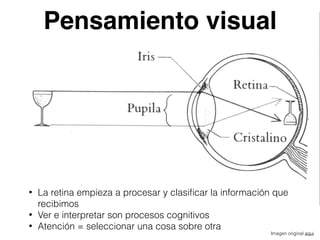Imagen original aquí
• La retina empieza a procesar y clasiﬁcar la información que
recibimos
• Ver e interpretar son procesos cognitivos
• Atención = seleccionar una cosa sobre otra
Pensamiento visual
 