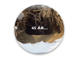 45 ÅR…
 
