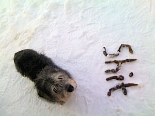 Hans Gerhard Meier | www.takkformeg.com
 