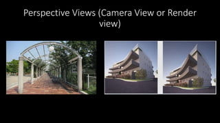 Perspective Views (Camera View or Render
view)
 