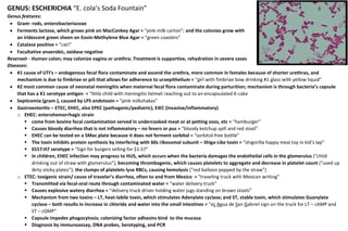 comprehensive-overview-of-staphylococcus-and-streptococcus-bacterial