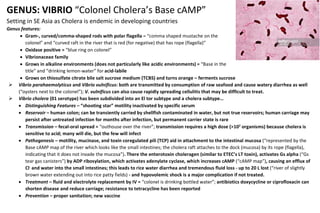 comprehensive-overview-of-staphylococcus-and-streptococcus-bacterial