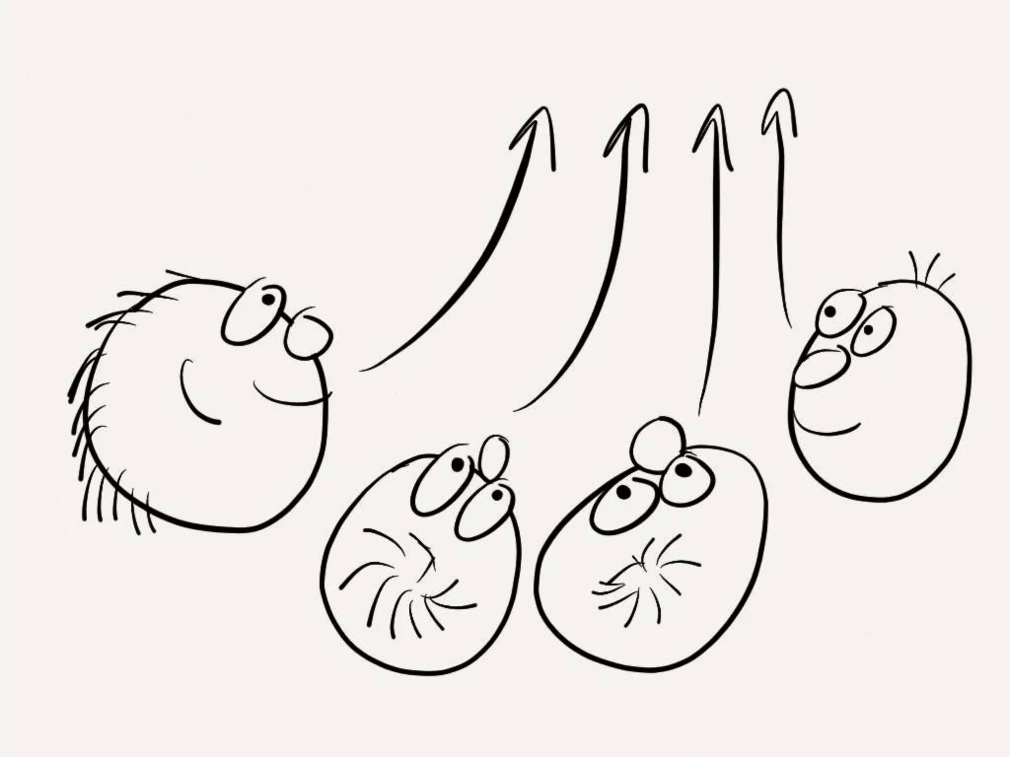 Sketch You Can! (Agile 2013)