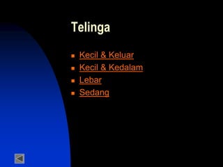 Telinga
 Kecil & Keluar
 Kecil & Kedalam
 Lebar
 Sedang
 