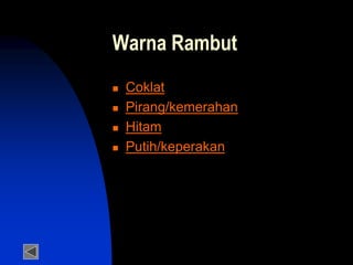 Warna Rambut
 Coklat
 Pirang/kemerahan
 Hitam
 Putih/keperakan
 