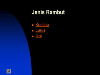 Jenis Rambut
 Keriting
 Lurus
 Ikal
 