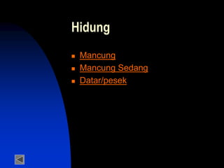 Hidung
 Mancung
 Mancung Sedang
 Datar/pesek
 