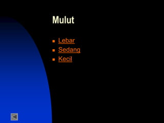Mulut
 Lebar
 Sedang
 Kecil
 