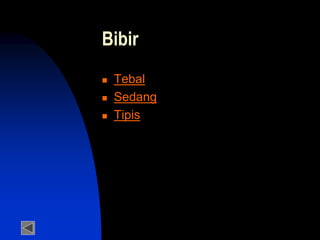 Bibir
 Tebal
 Sedang
 Tipis
 