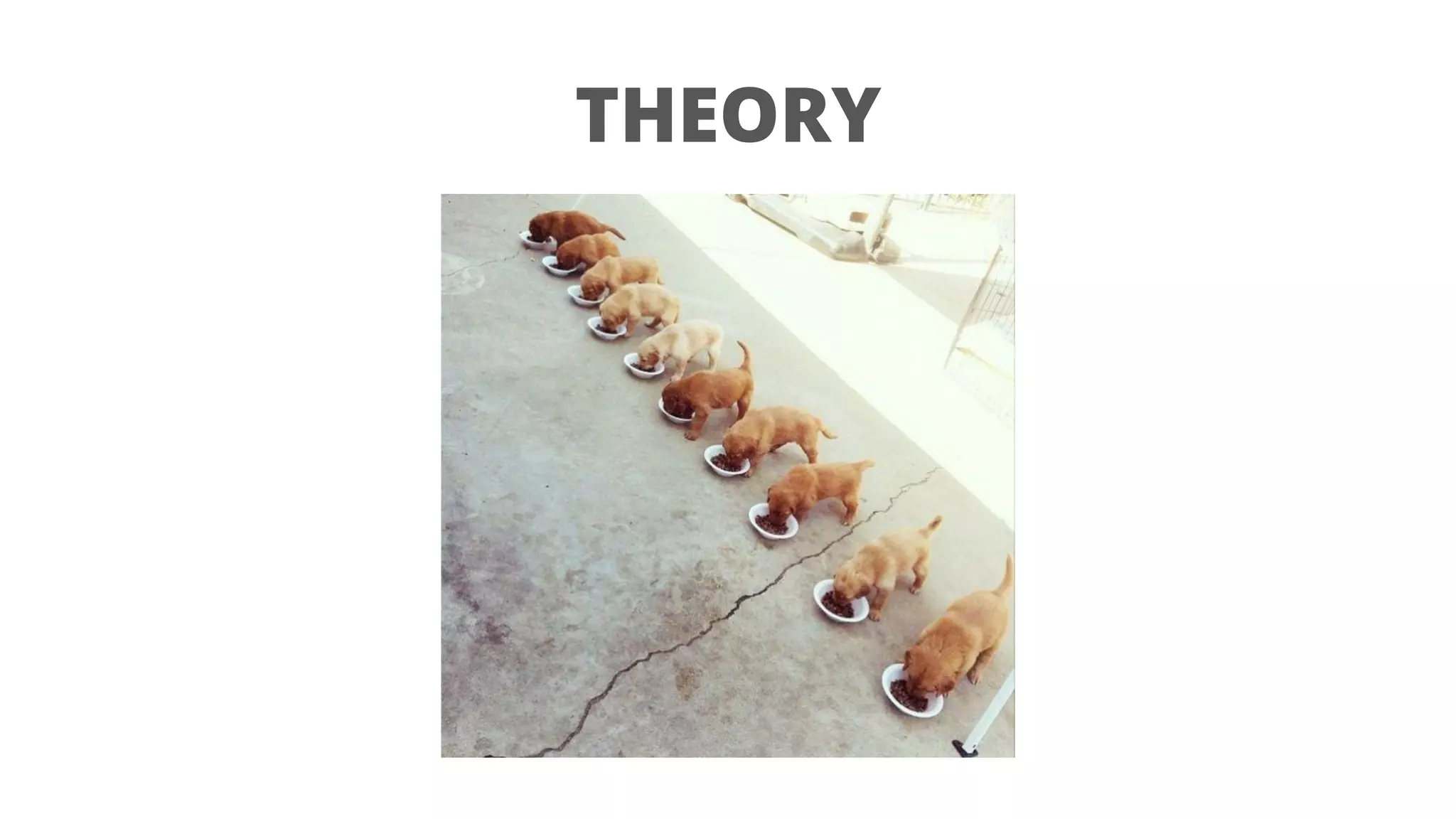 THEORY
 