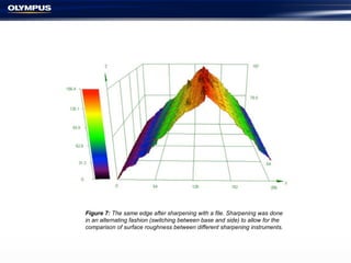Figure 7: The same edge after sharpening with a file. Sharpening was done
in an alternating fashion (switching between base and side) to allow for the
comparison of surface roughness between different sharpening instruments.
 