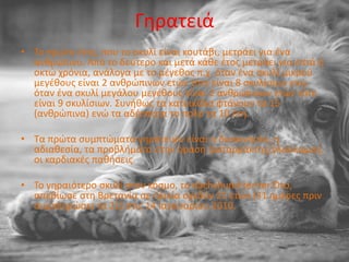 Γθρατειά
• Το πρϊτο ζτοσ, που το ςκυλί είναι κουτάβι, μετράει για ζνα
  ανκρϊπινο. Από το δεφτερο και μετά κάκε ζτοσ μετράει για επτά ι
  οκτϊ χρόνια, ανάλογα με το μζγεκοσ π.χ. όταν ζνα ςκυλί μικροφ
  μεγζκουσ είναι 2 ανκρϊπινων ετϊν τότε είναι 8 ςκυλίςιων ενϊ
  όταν ζνα ςκυλί μεγάλου μεγζκουσ είναι 2 ανκρϊπινων ετϊν τότε
  είναι 9 ςκυλίςιων. Συνικωσ τα κατοικίδια φτάνουν τα 15
  (ανκρϊπινα) ενϊ τα αδζςποτα το πολφ τα 10 ζτθ.

• Τα πρϊτα ςυμπτϊματα γθρατειϊν είναι θ δυςκινθςία, θ
  αδιακεςία, τα προβλιματα ςτθν όραςθ (καταρράκτθσ/γλαφκωμα),
  οι καρδιακζσ πακιςεισ.

• Το γθραιότερο ςκυλί ςτον κόςμο, το dachshund-terrier Πτο,
  απεβίωςε ςτθ Βρετανία ςε θλικία ςχεδόν 21 ετϊν (31 θμζρεσ πριν
  ςυμπλθρϊςει τα 21) ςτισ 14 Ιανουαρίου 2010.
 