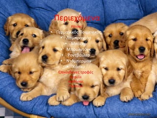 Ρεριεχόμενα
         ΢άτςεσ:
• Γερμανικόσ Ροιμενικόσ
    • Λαμπραντόρ
      • Μπόξερ
    • Μπουλντόγκ
     • ΢οντβάιλερ
    • Ντόμπερμαν
       • Χάςκυ
   Επικίνδυνεσ τροφζσ
         Ευφυΐα
        Αιςκιςεισ
        Γθρατειά
 