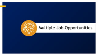 Multiple Job Opportunities
 