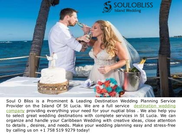 Skillful Caribbean Wedding Planner