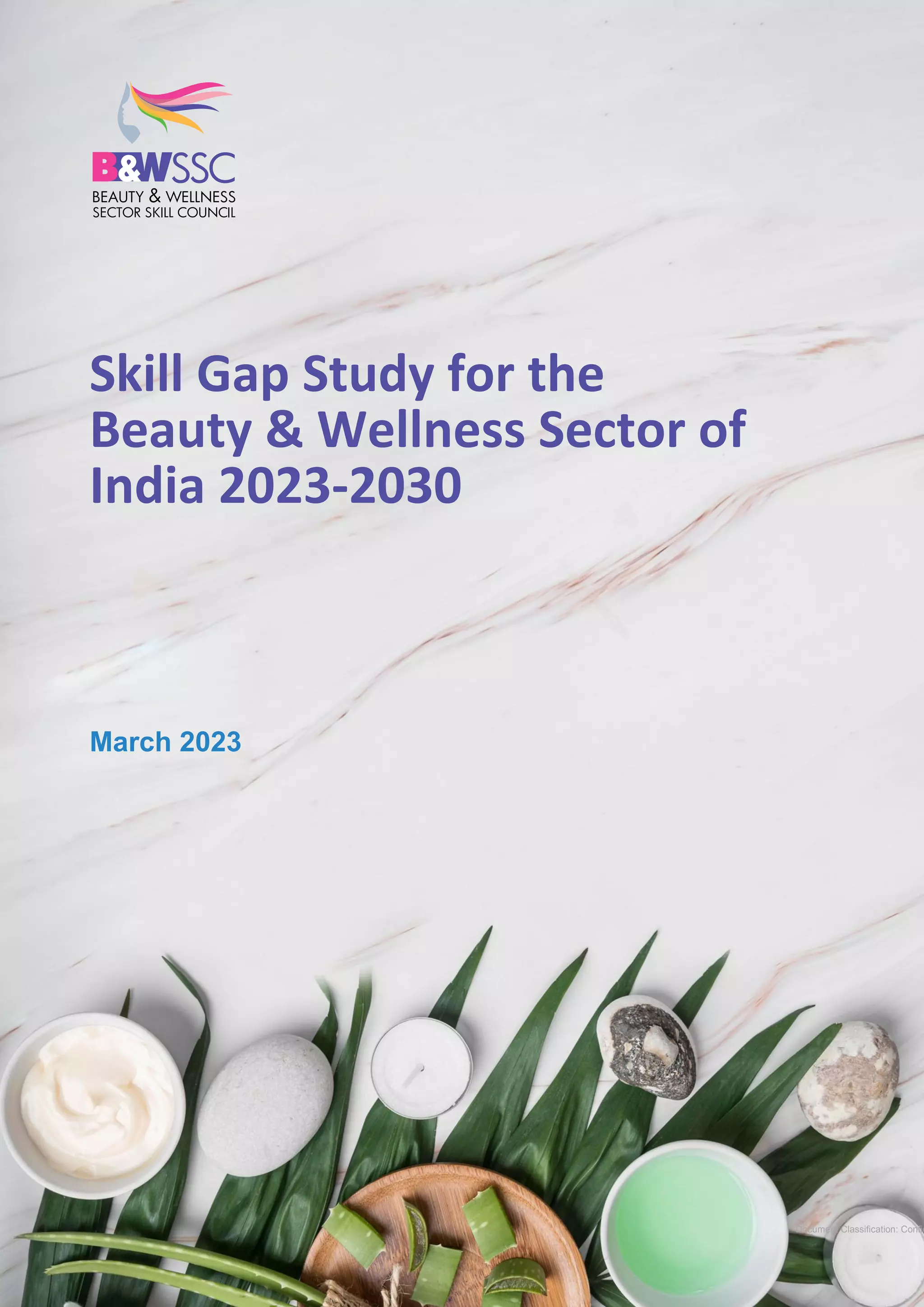 Skill Gap Study Report.pdf