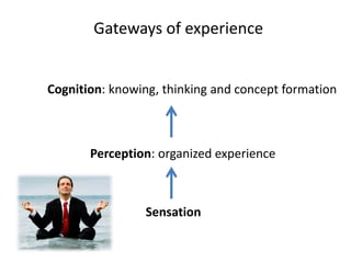 Gateways of experienceCognition: knowing, thinking and concept formationPerception: organized experienceSensation