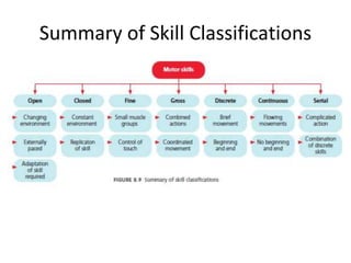 Summary of Skill Classifications
 