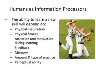 Humans as Information Processors
• The ability to learn a new
skill will depend on:
– Physical maturation
– Physical fitness
– Attention and motivation
during learning
– Feedback
– Memory
– Amount & type of practice
– Perceptual ability
 