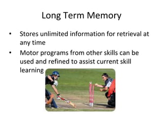 Long Term Memory
• Stores unlimited information for retrieval at
any time
• Motor programs from other skills can be
used and refined to assist current skill
learning
 