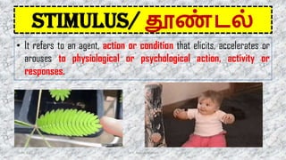 STIMULUS/ தூண
் டல்
• It refers to an agent, action or condition that elicits, accelerates or
arouses to physiological or psychological action, activity or
responses.
16-06-2022 Dr. C. Beulah Jayarani 16
 