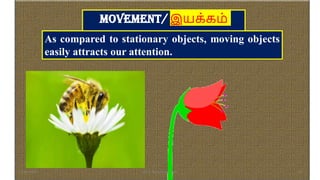 Movement/ இயக்கம்
As compared to stationary objects, moving objects
easily attracts our attention.
16-06-2022 Dr. C. Beulah Jayarani 24
 