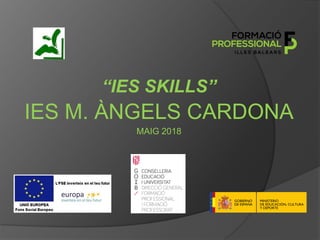 “IES SKILLS”
IES M. ÀNGELS CARDONA
MAIG 2018
 