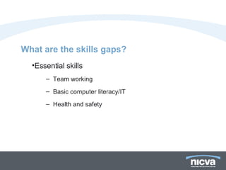 What are the skills gaps? Essential skills Team working Basic computer literacy/IT Health and safety 