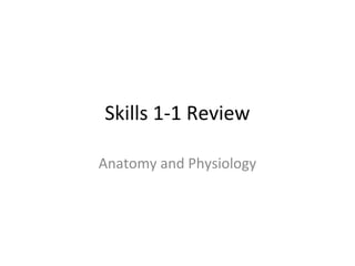 Skills 1-1 Review
Anatomy and Physiology
 