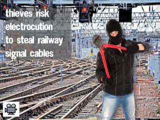 © Association for Science Education and Centre for Science Education 2011
 