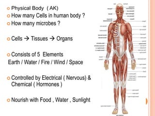  Physical Body ( AK)
 How many Cells in human body ?
 How many microbes ?
 Cells  Tissues  Organs
 Consists of 5 Elements
Earth / Water / Fire / Wind / Space
 Controlled by Electrical ( Nervous) &
Chemical ( Hormones )
 Nourish with Food , Water , Sunlight
 