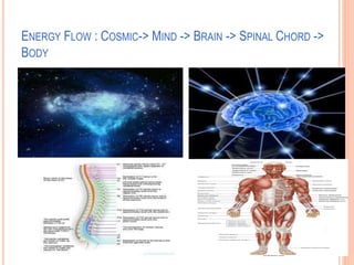 ENERGY FLOW : COSMIC-> MIND -> BRAIN -> SPINAL CHORD ->
BODY
 Mind
 Spinal Chord
 