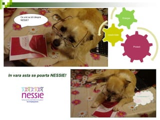 Proiect
creativitate
Energie
In vara asta se poarta NESSIE!
 