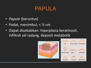 PAPULA
• Papule (beruntus)
• Padat, menimbul, < ½ cm
• Dapat disebabkan: hiperplasia keratinosit,
infiltrat sel radang, deposit metabolik
 