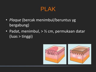 PLAK
• Plaque (bercak menimbul/beruntus yg
bergabung)
• Padat, menimbul, > ½ cm, permukaan datar
(luas > tinggi)
 