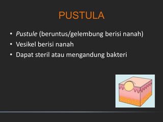 PUSTULA
• Pustule (beruntus/gelembung berisi nanah)
• Vesikel berisi nanah
• Dapat steril atau mengandung bakteri
 